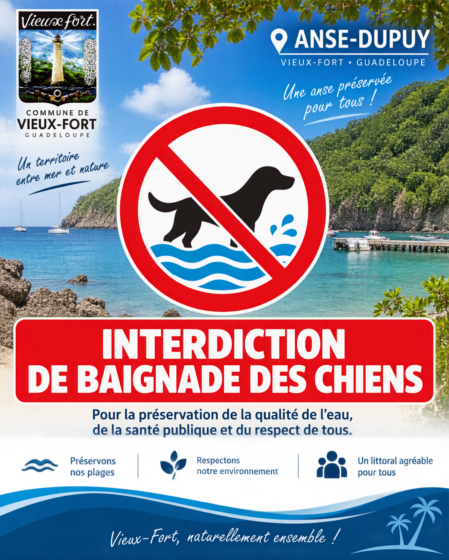 Interdiction de baignade des chiens à l&rsquo;Anse-Dupuy